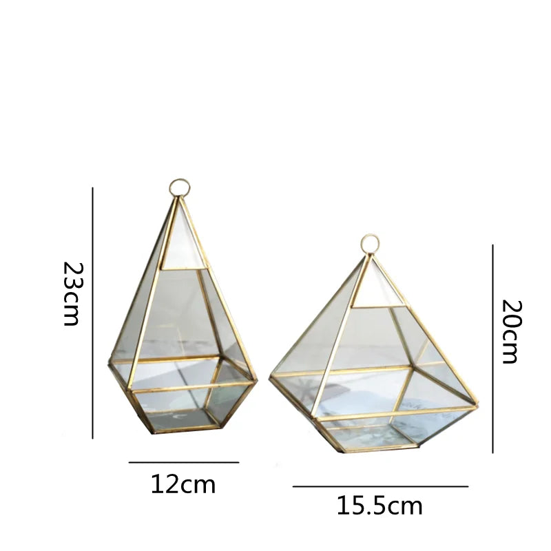 فازة زجاجية هندسية DecorBites™ للنباتات العصارية والزهور