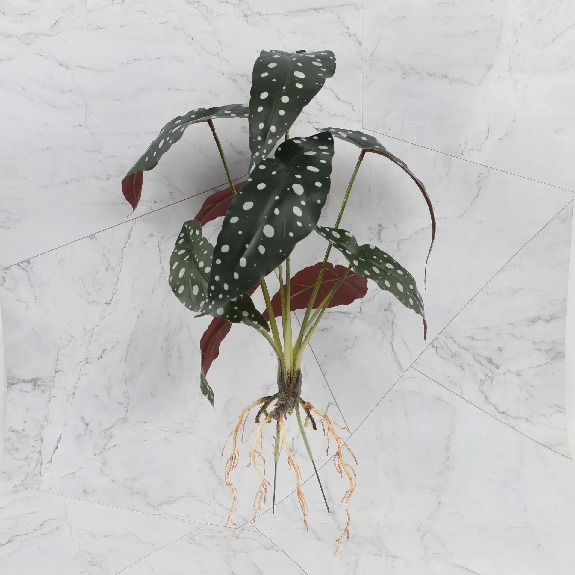 DecorBites™ Green Plant Wall Set for Indoor Decoration