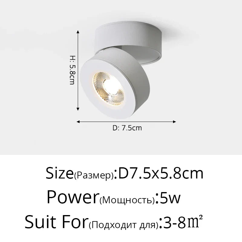 Plafonniers spots orientables à LED DecorBites™ pour mur de fond et allée