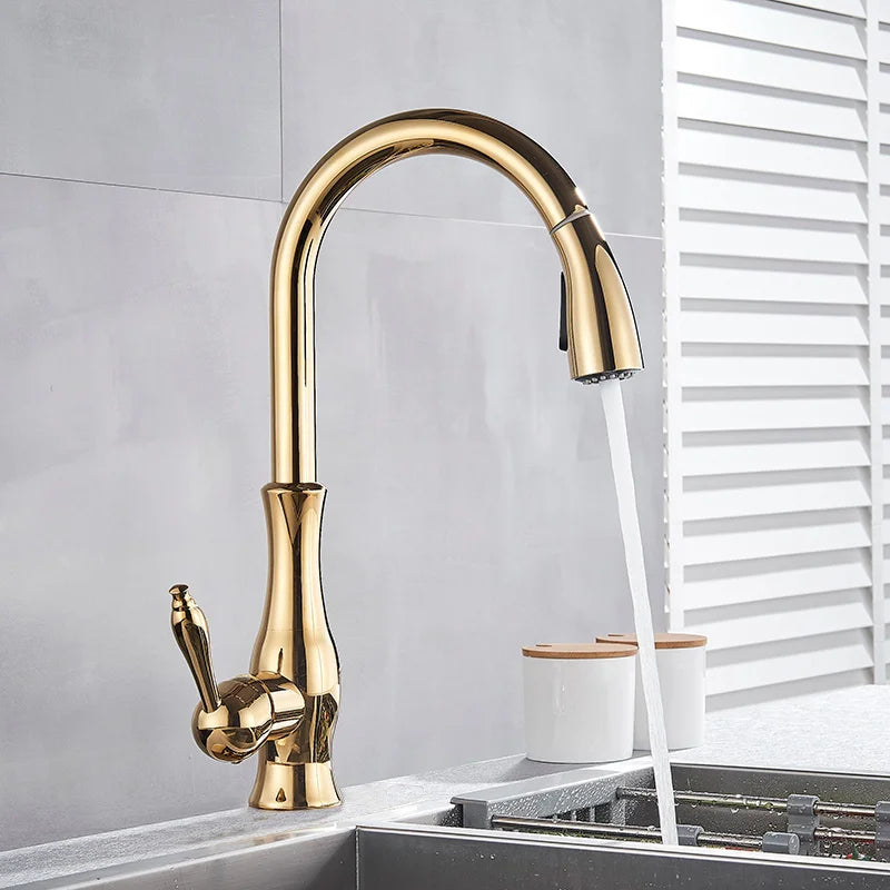 DecorBites™ Gold Swivel Spout Kitchen Faucet with Pull Down Sprayer