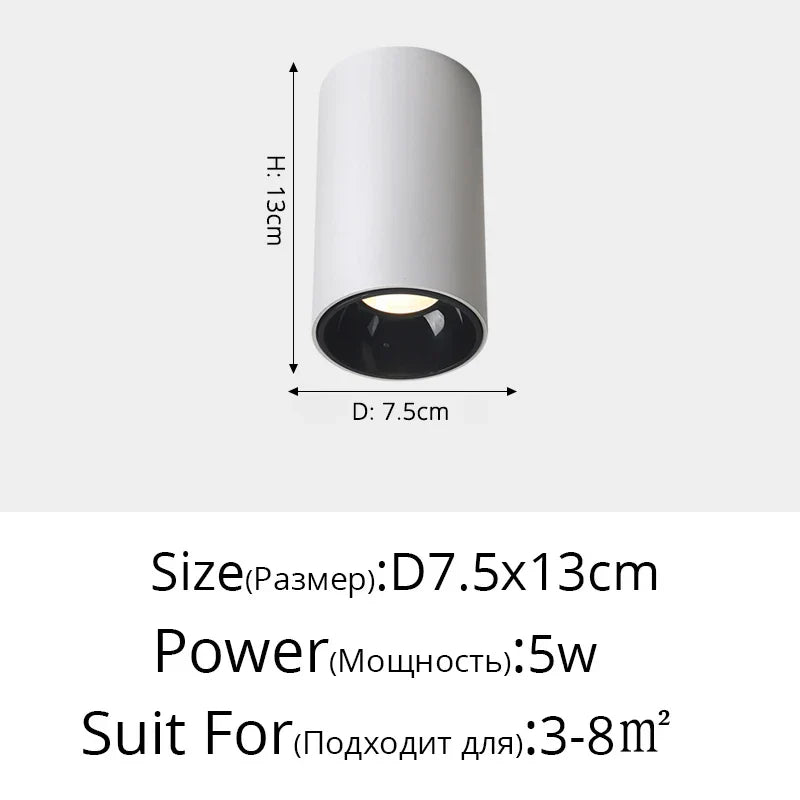 Plafonniers spots orientables à LED DecorBites™ pour mur de fond et allée