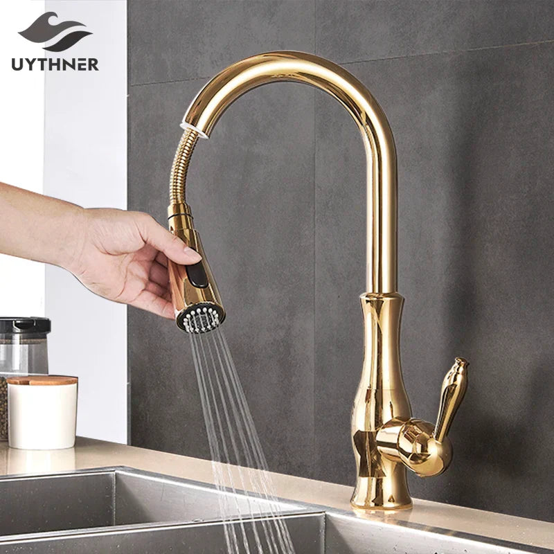 DecorBites™ Gold Swivel Spout Kitchen Faucet with Pull Down Sprayer