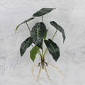 DecorBites™ Green Plant Wall Set for Indoor Decoration