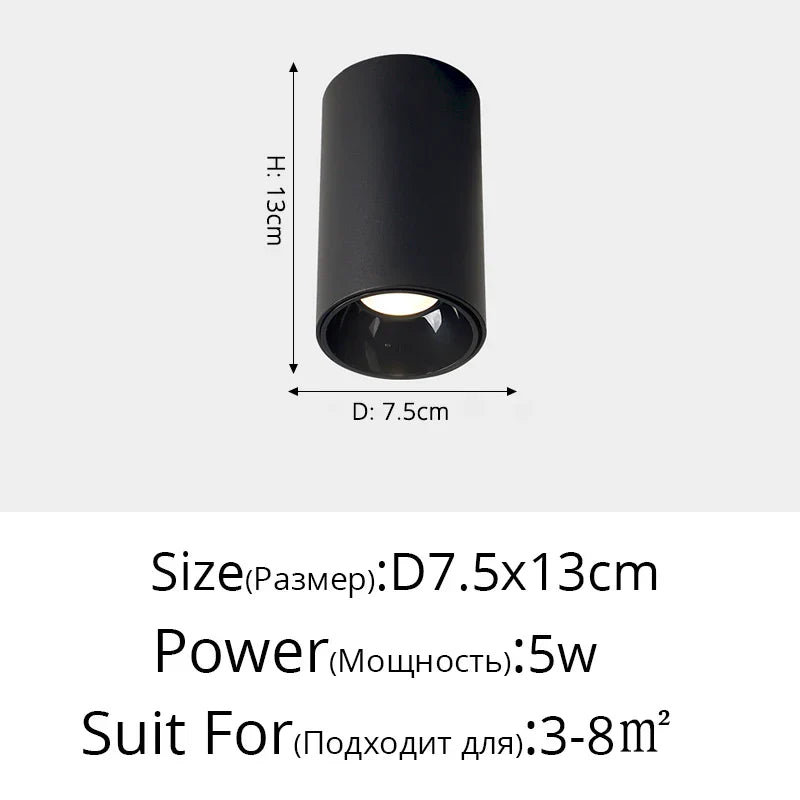 Plafonniers spots orientables à LED DecorBites™ pour mur de fond et allée