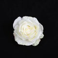 DecorBites™ 30PCS Silk Roses Wedding Decor DIY Home Decoration, Brooch Gifts, Candy Box