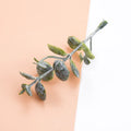 DecorBites™ 10Pcs Plastic Grass Artificial Plants for Home Decor and DIY Gifts Box Decorations
