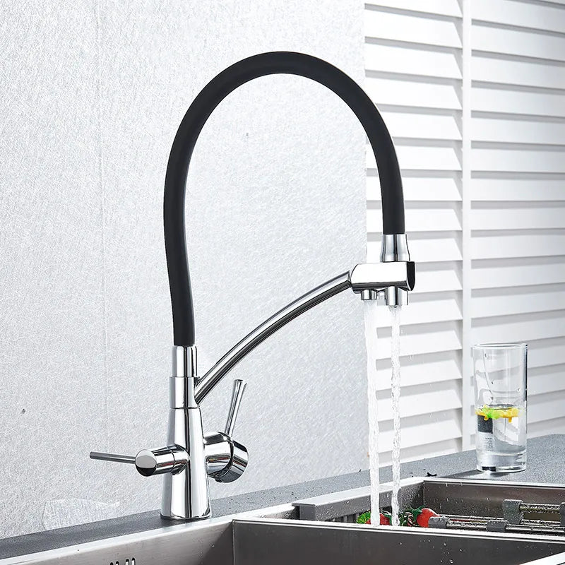 DecorBites™ Dual Spout Kitchen Faucet with Water Purification and Flexible Rotation