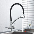 DecorBites™ Dual Spout Kitchen Faucet with Water Purification and Flexible Rotation