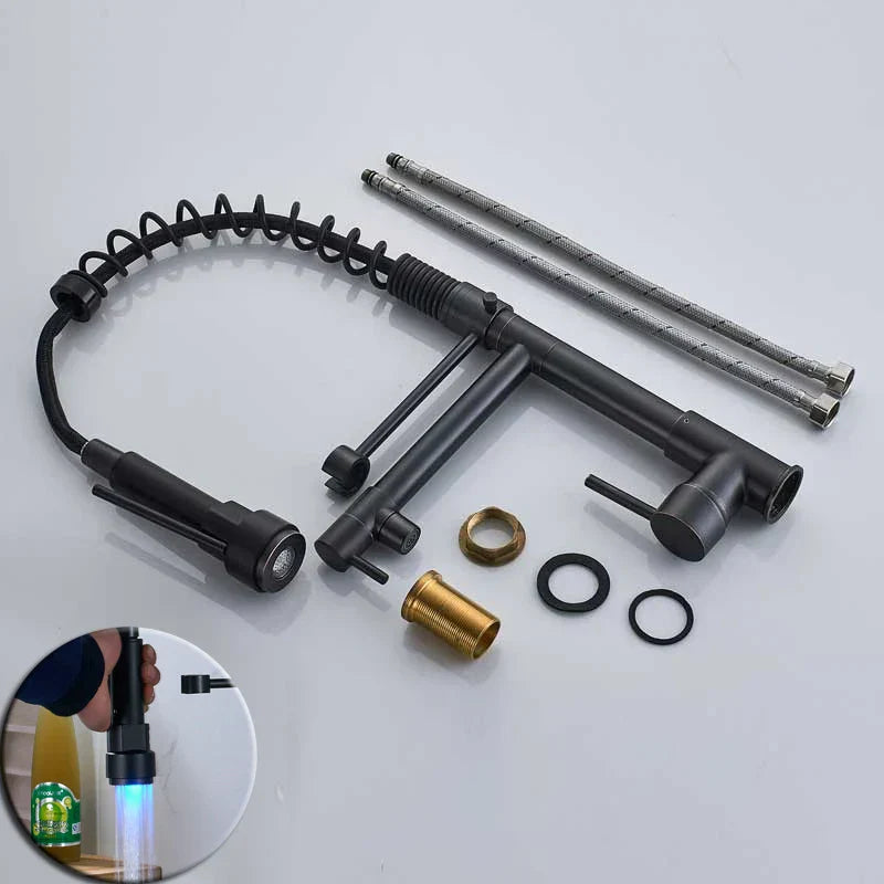DecorBites™ Black Bronze Dual Spout Kitchen Faucet with Pull Down Sprayer