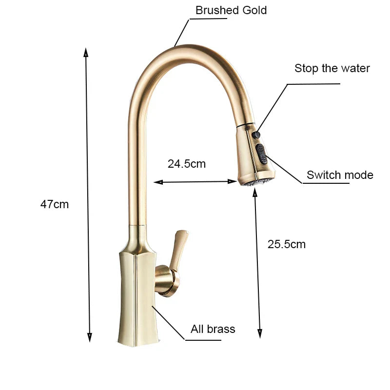 DecorBites™ Brushed Gold Pull Out Kitchen Faucet with 2 Function Head and Spring Design