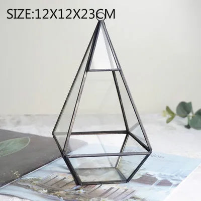 فازة زجاجية هندسية DecorBites™ للنباتات العصارية والزهور