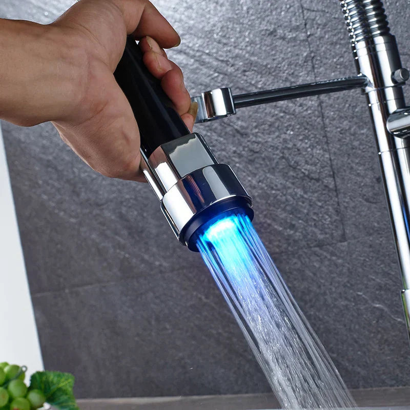 DecorBites™ Black Bronze Dual Spout Kitchen Faucet with Pull Down Sprayer