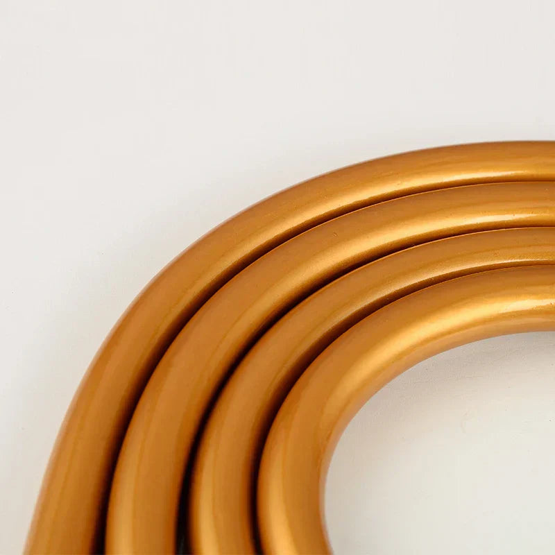 DecorBites™ خرطوم دش PVC عالي الضغط برأس يدوي - تصميم أملس فضي وذهبي