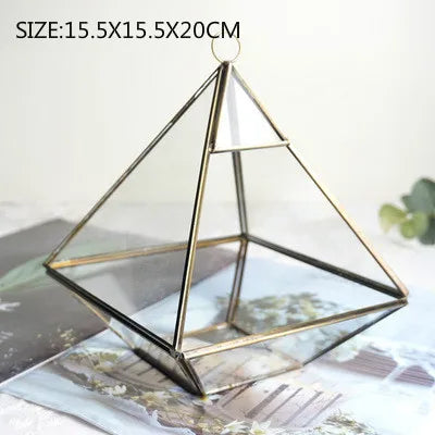 فازة زجاجية هندسية DecorBites™ للنباتات العصارية والزهور