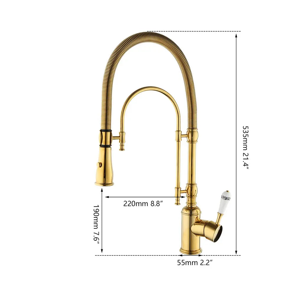 DecorBites™ Golden Kitchen Faucet Vessel Sink Swivel Mixer Tap with Pull Down Spring