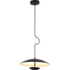Nordic Wood Grain Black Ring Pendant Light