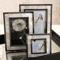 إطار صور شل الذهبي من DecorBites™ لديكور طاولة السرير لصور العائلة