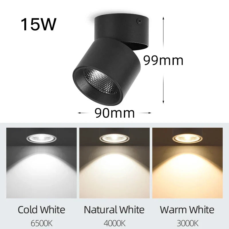DecorBites™ LED Ceiling Lamp 220V Indoor Lighting Fixture for Kitchen Room & Platform