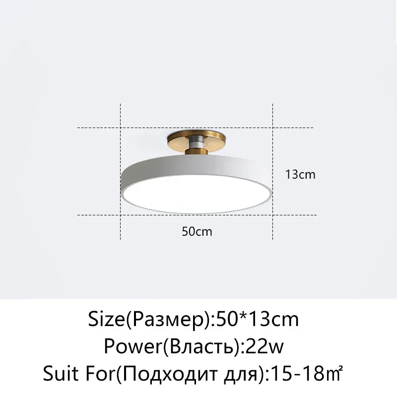 DecorBites™ LED Ceiling Lamp for Living Room Study Child Bedroom Indoor Lighting