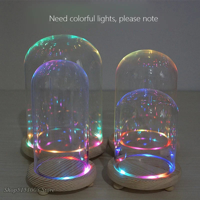 DecorBites™ Glass Dome Night Light with Dry Flower Ornaments on Wood Base