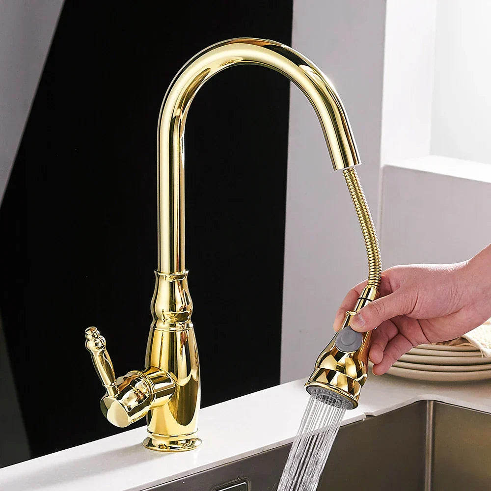 خلاط حوض المطبخ الذهبي DecorBites™ مع رشاش سحب دوار - WF-4118