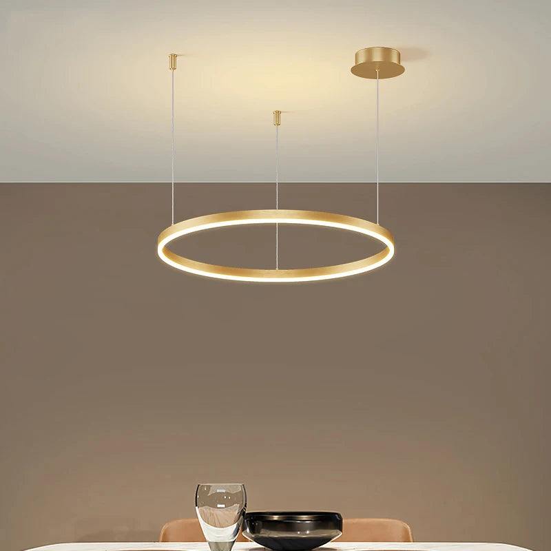Minimalist Brushed Ring Pendant Light in Gold and Black