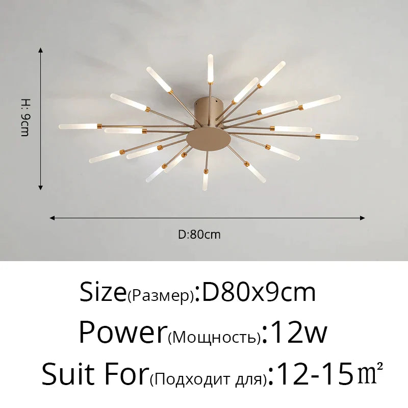 DecorBites™ Acrylic LED Ceiling Lights for Bedroom Hall Living Kids Room Lamps