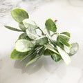 DecorBites™ Green Plant Flower Cherry Stamen Berries Bundle for DIY Decor and Gifts