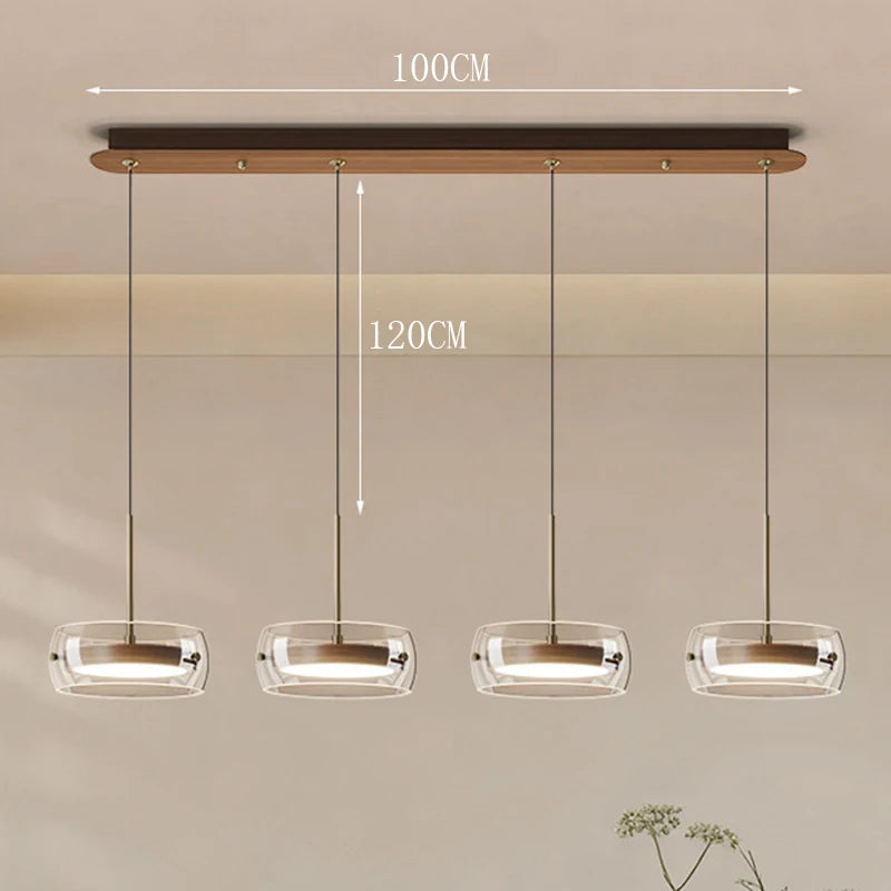 Modern Glass Ring Pendant Light in Iron