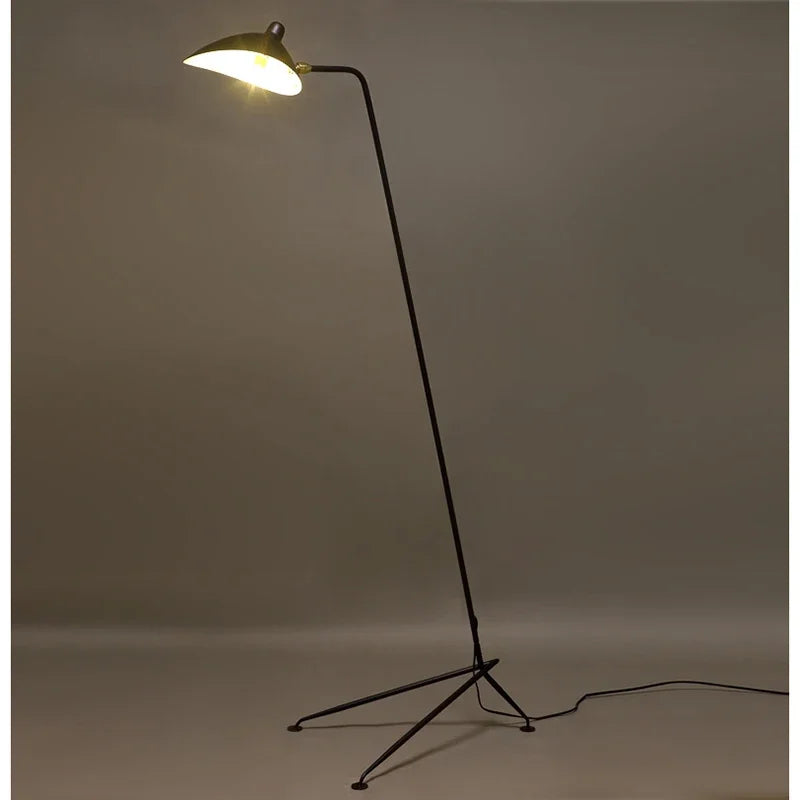 DecorBites™ Black Nordic Floor Lamp for Living Room, Designer Aluminum Standing Light