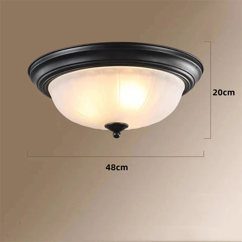 DecorBites™ Black Bronze Ceiling Light with Frosted Glass Shade for Bedroom and Kitchen