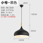 Nordic Stainless Steel Creative Pendant Light