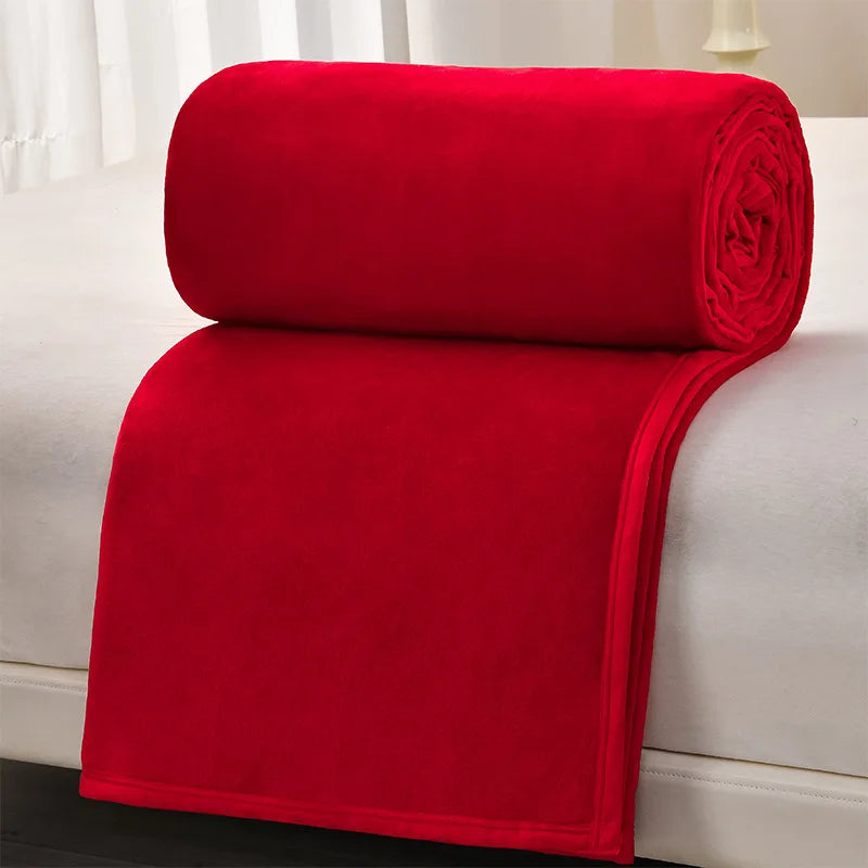 DecorBites™ Cozy Flannel Blanket: Multi-Functional Sofa Cover for Adults