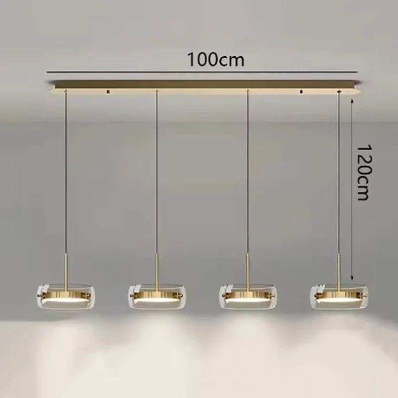 Modern Glass Ring Pendant Light in Iron