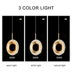 Nordic Ring LED Pendant Light in Iron, Aluminum & Acrylic