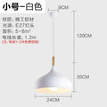 Nordic Stainless Steel Creative Pendant Light