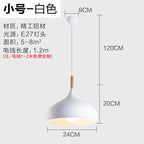 Nordic Stainless Steel Creative Pendant Light