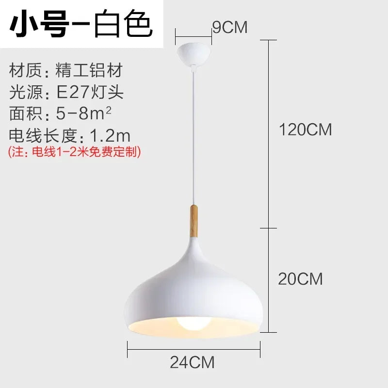 Nordic Stainless Steel Creative Pendant Light