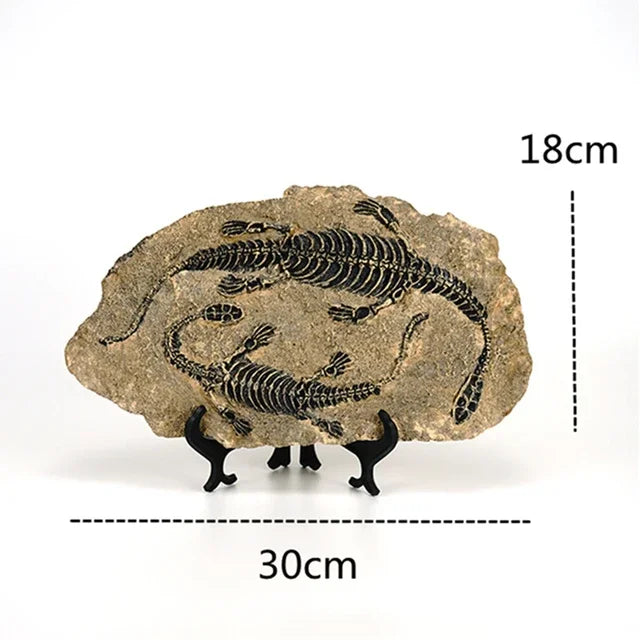 DecorBites™ Dino Fossil Resin Craft: Retro Animal Statue, Indoor Living Room Decor & Gift
