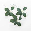 DecorBites™ 50Pcs Silk 5Leaf Artificial Roses Flowers for DIY Wedding Christmas Home Decor