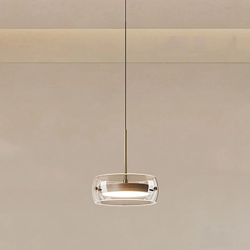 Modern Glass Ring Pendant Light in Iron