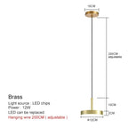 Nordic Minimalist Black Brass Pendant Light
