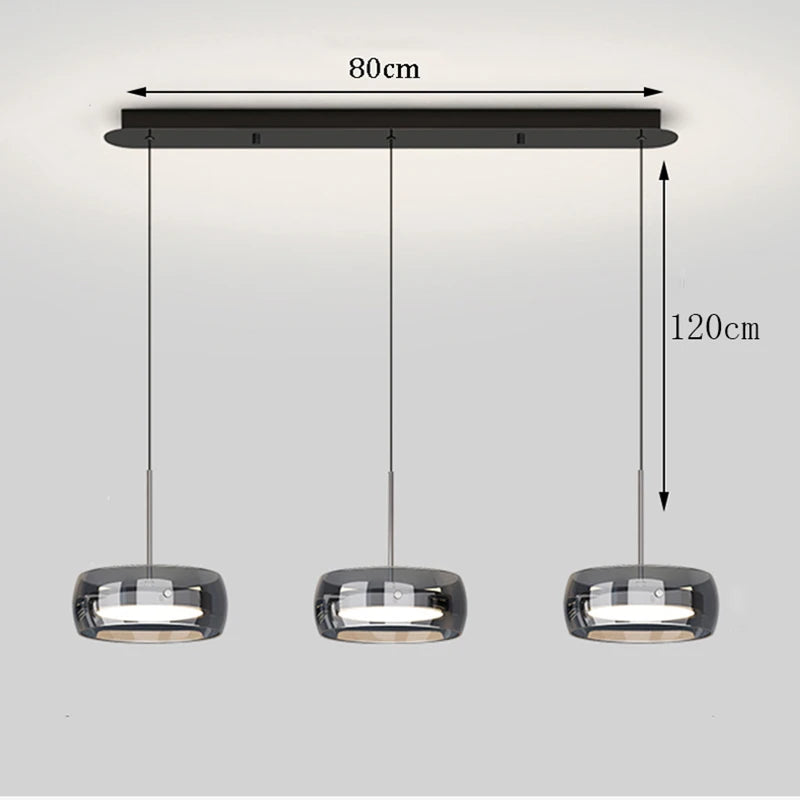 Modern Glass Ring Pendant Light in Iron