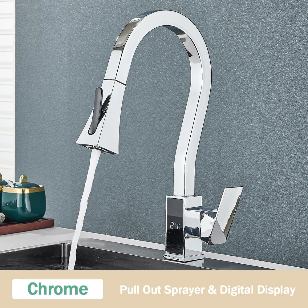 DecorBites™ Black Brass Kitchen Faucet with Digital Temperature Display & Dual Water Sprayer