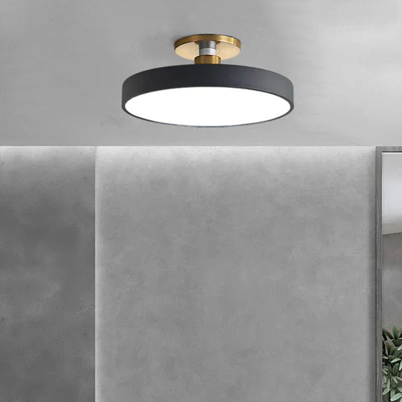 DecorBites™ LED Ceiling Lamp for Living Room Study Child Bedroom Indoor Lighting