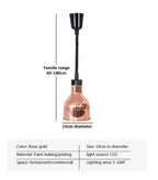 Vintage Telescopic Stainless Steel Buffet Heat Pendant Lamp