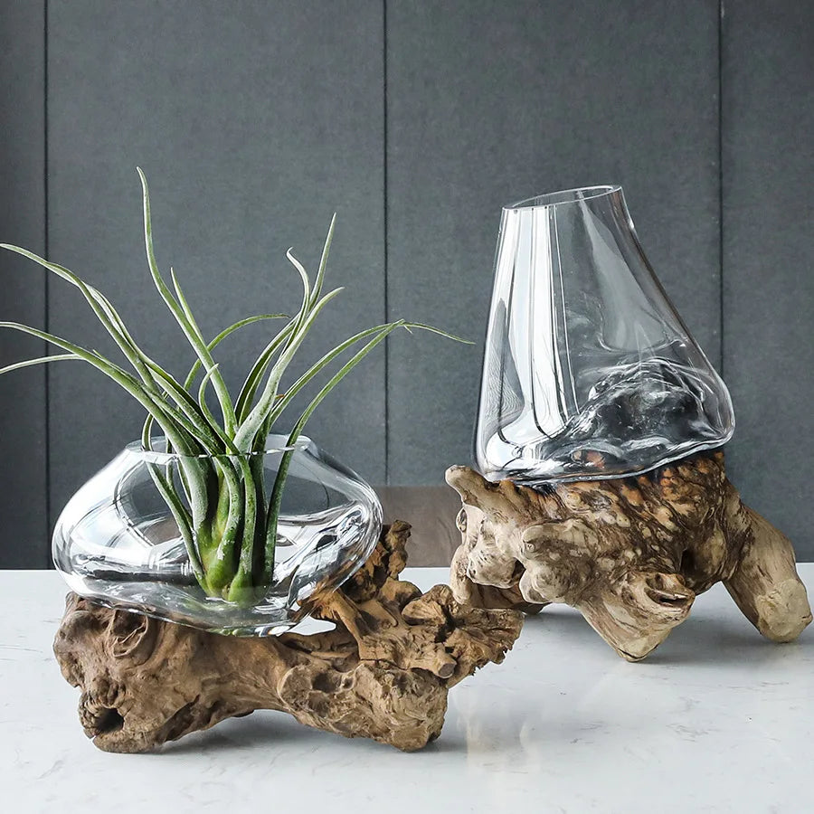 DecorBites™ Glass Bonsai Vase Hydroponic Pots Art Wooden Frame Home Decoration