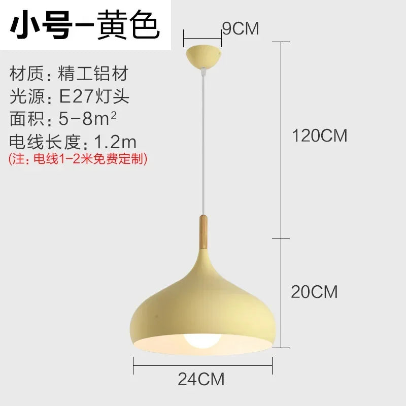 Nordic Stainless Steel Creative Pendant Light