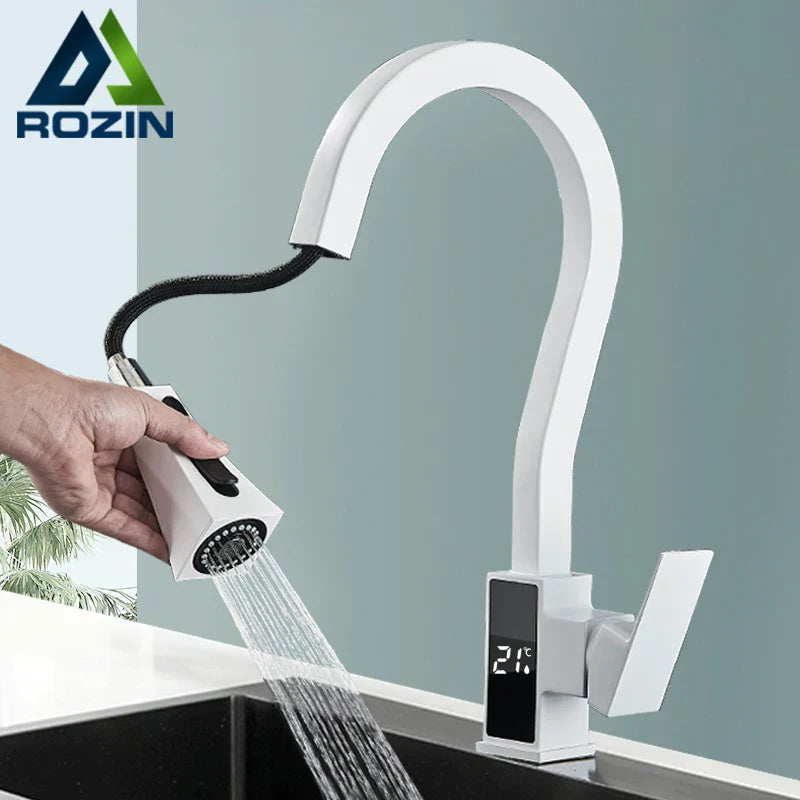 DecorBites™ Black Brass Kitchen Faucet with Digital Temperature Display & Dual Water Sprayer
