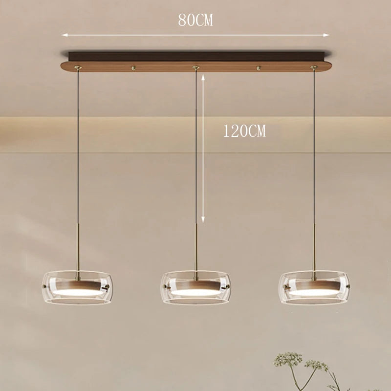 Modern Glass Ring Pendant Light in Iron